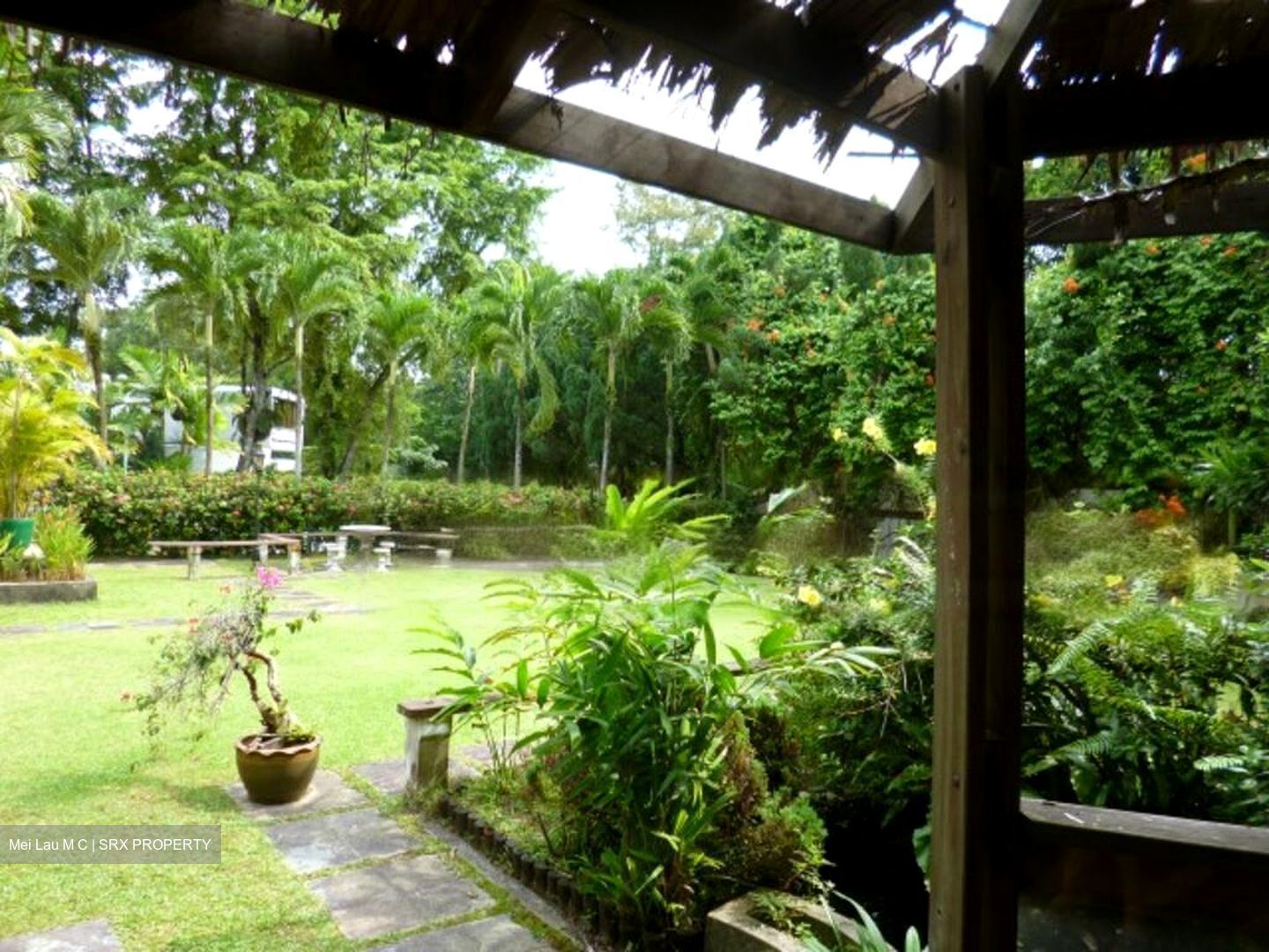 Bukit Timah Road (D21), Detached #486077131
